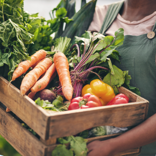 Motsi General Trading